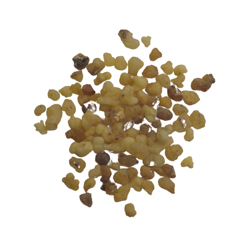Olibanum Eritrea (50g) - Boswellia papyrifera