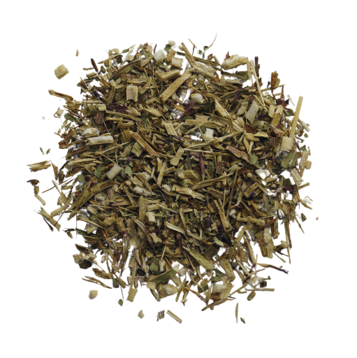 Sonnenhutkraut bleich Bio (50g) - Echinacea pallida kbA