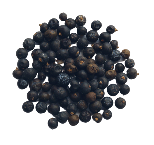 Wacholderbeeren (50g) - Juniperus oxycedrus
