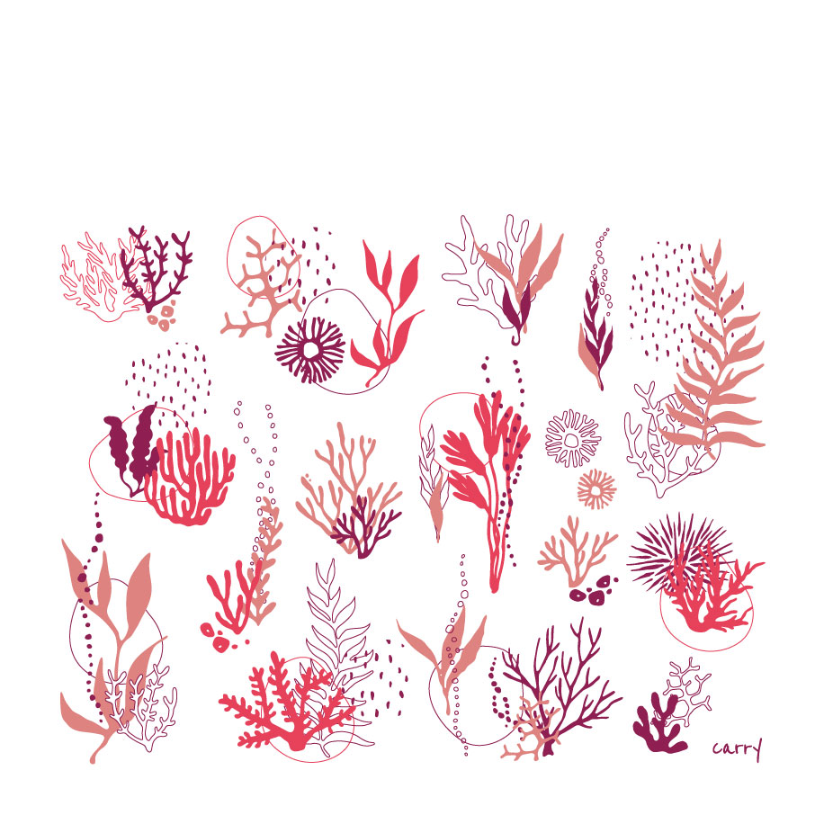 Coral Reef 0,7 l