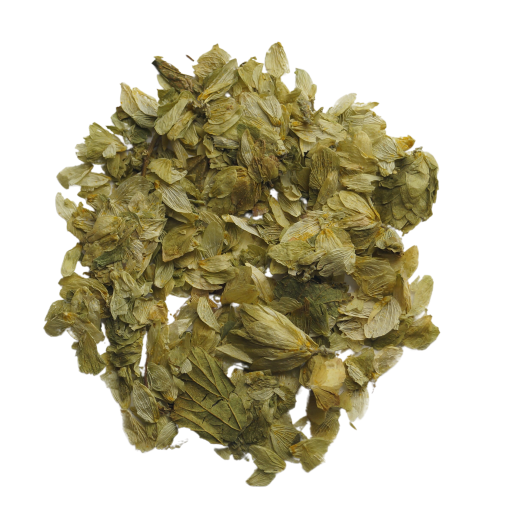 Hopfenblüten Bio (25g) - Humulus lupulus