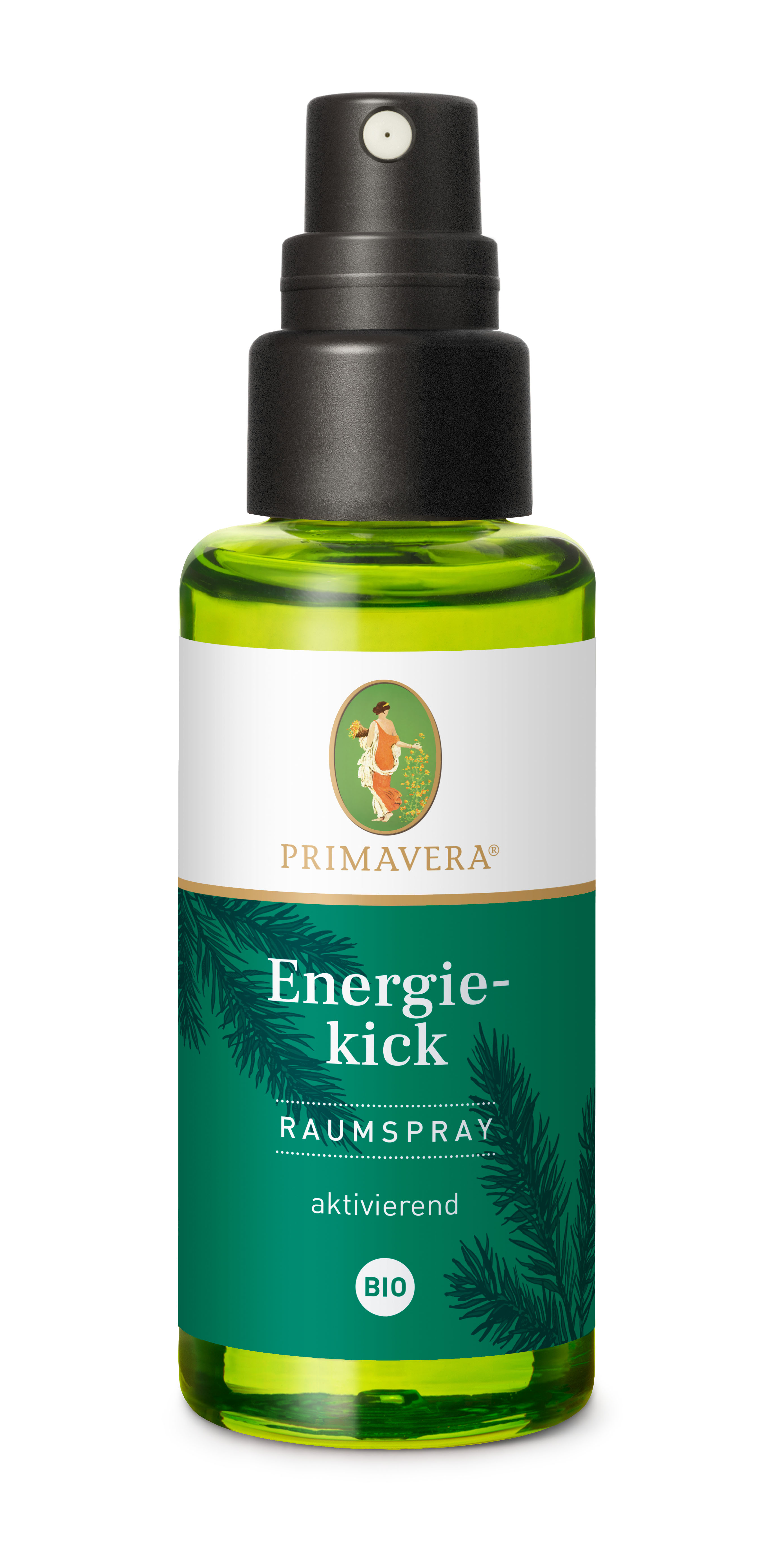 Energiekick Raumspray bio