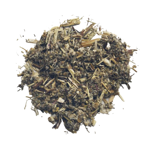 Beifußkraut Bio (50g) - Artemisia vulgaris 